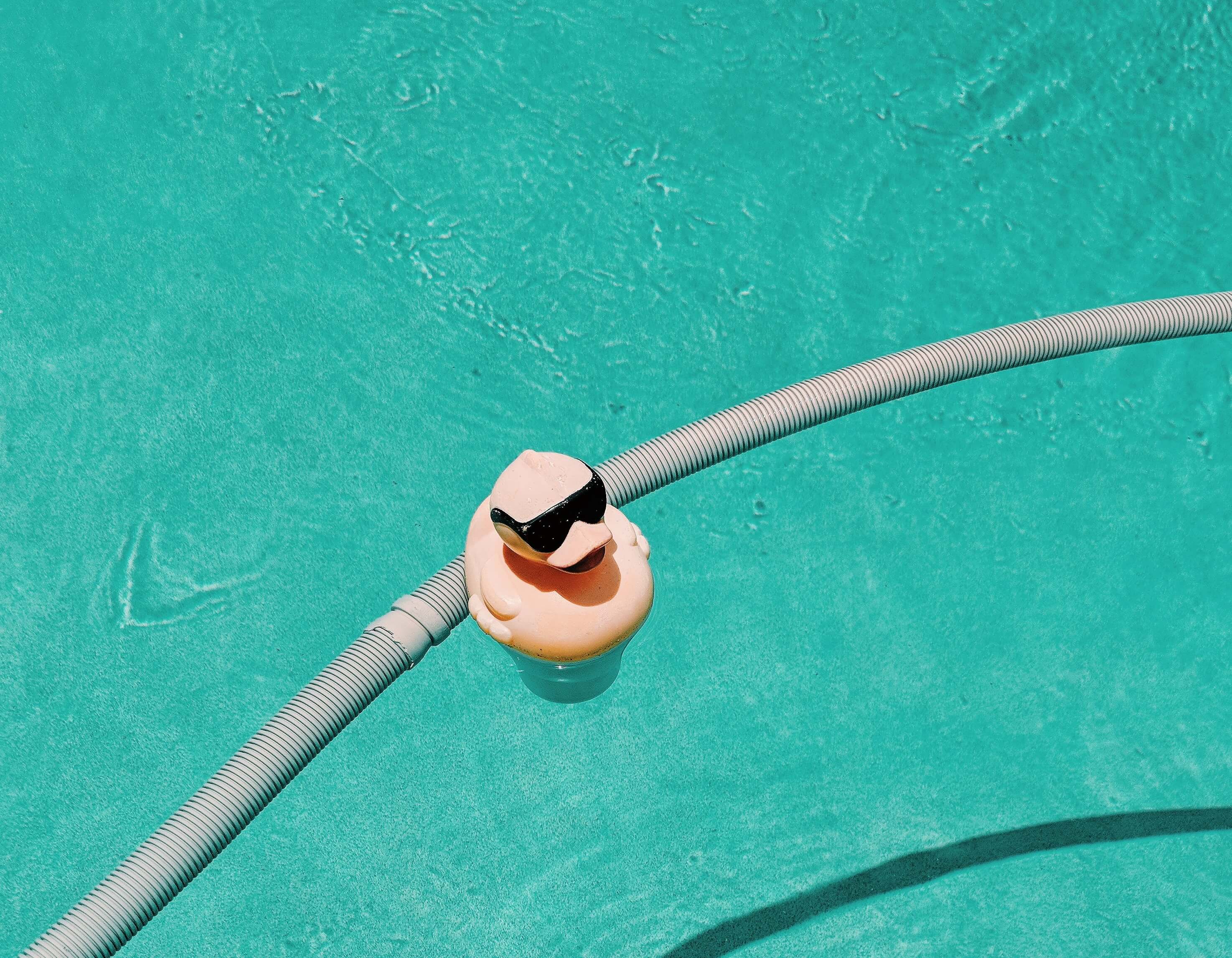 A cool rubber duck in a blue swimming pool.